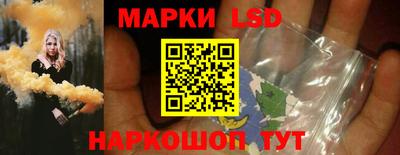 стафф Будённовск