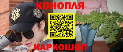 стафф Будённовск