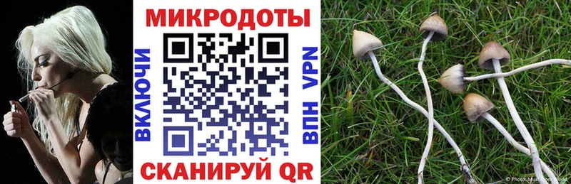 Псилоцибиновые грибы Cubensis  Серпухов 