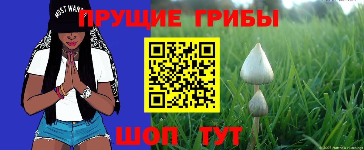 Псилоцибиновые грибы Magic Shrooms Серпухов